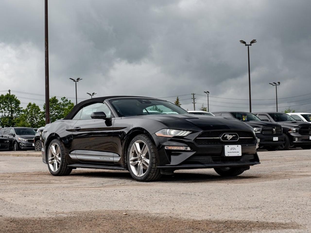 2021 Ford Mustang I4CV Photo