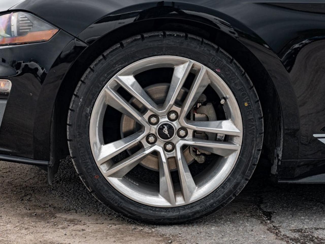 2021 Ford Mustang I4CV Photo
