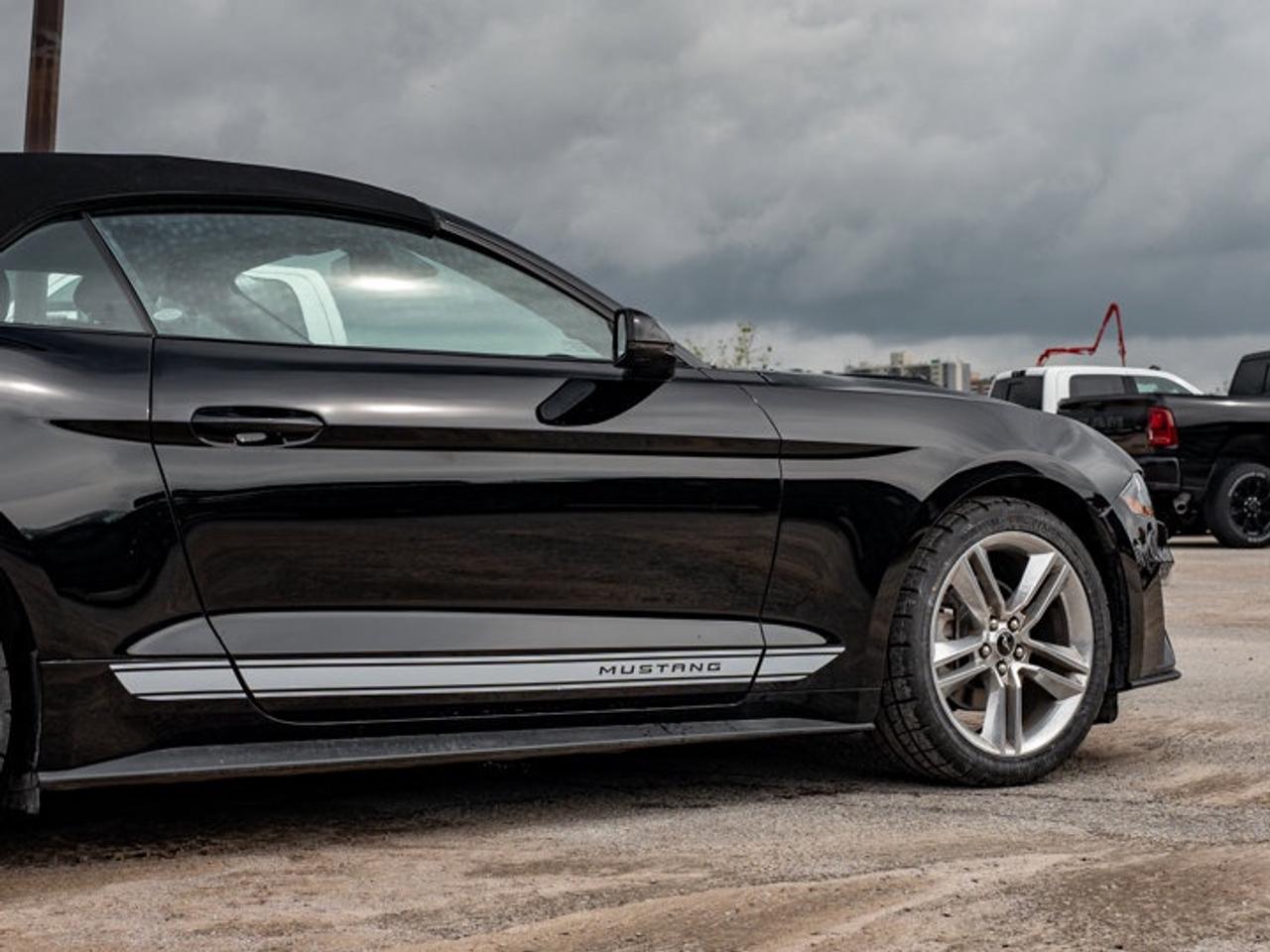 2021 Ford Mustang I4CV Photo