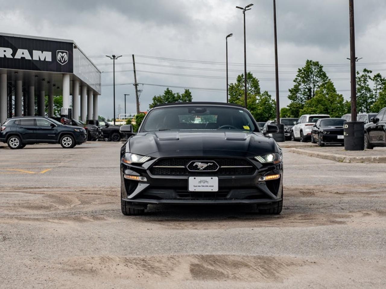 2021 Ford Mustang I4CV Photo