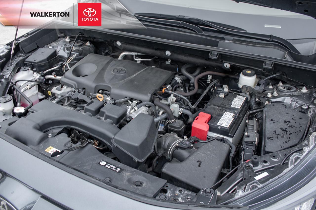 2023 Toyota RAV4 LE 4dr All-wheel Drive Photo
