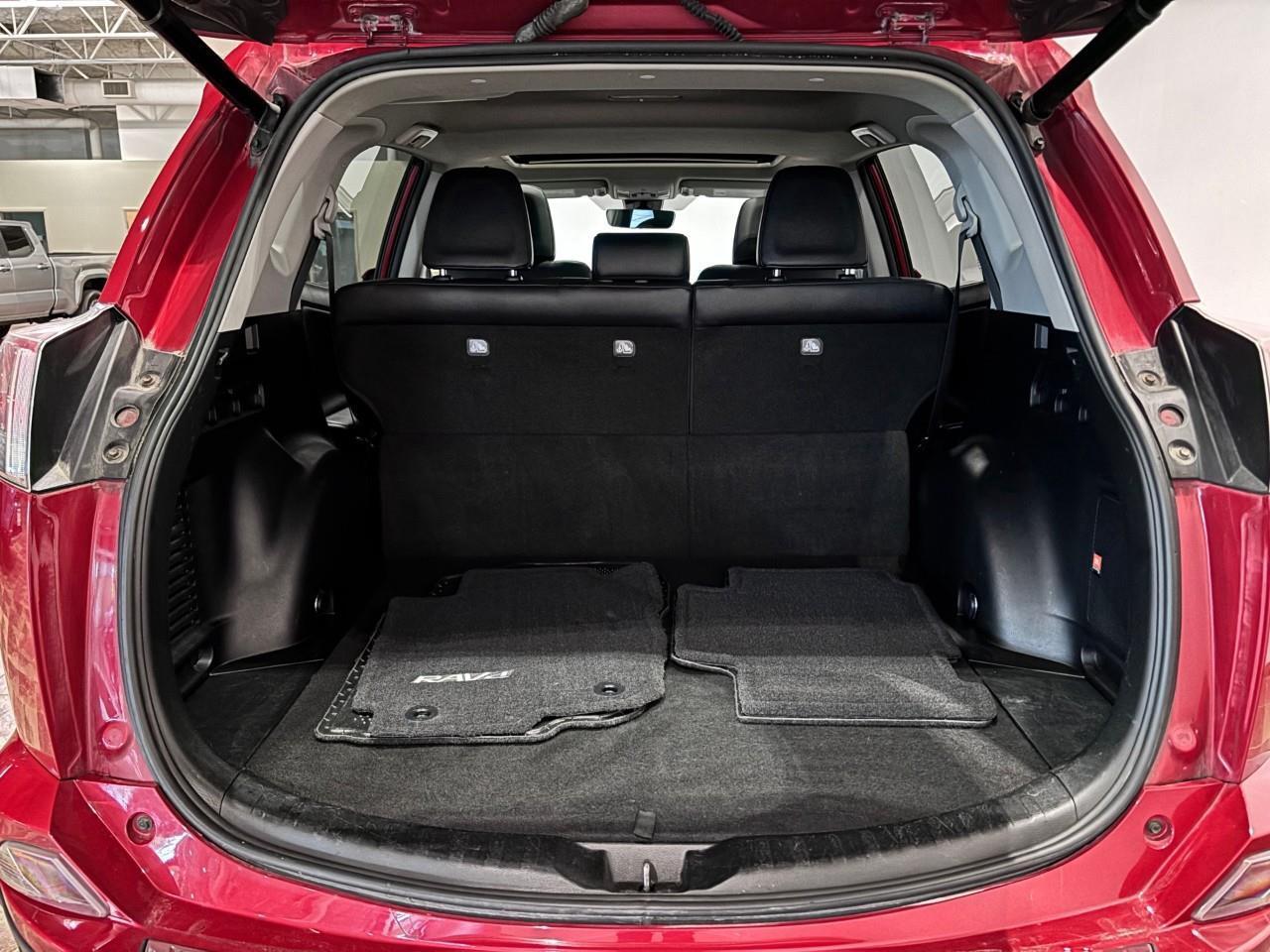 2016 Toyota RAV4 LIMITED  Photo