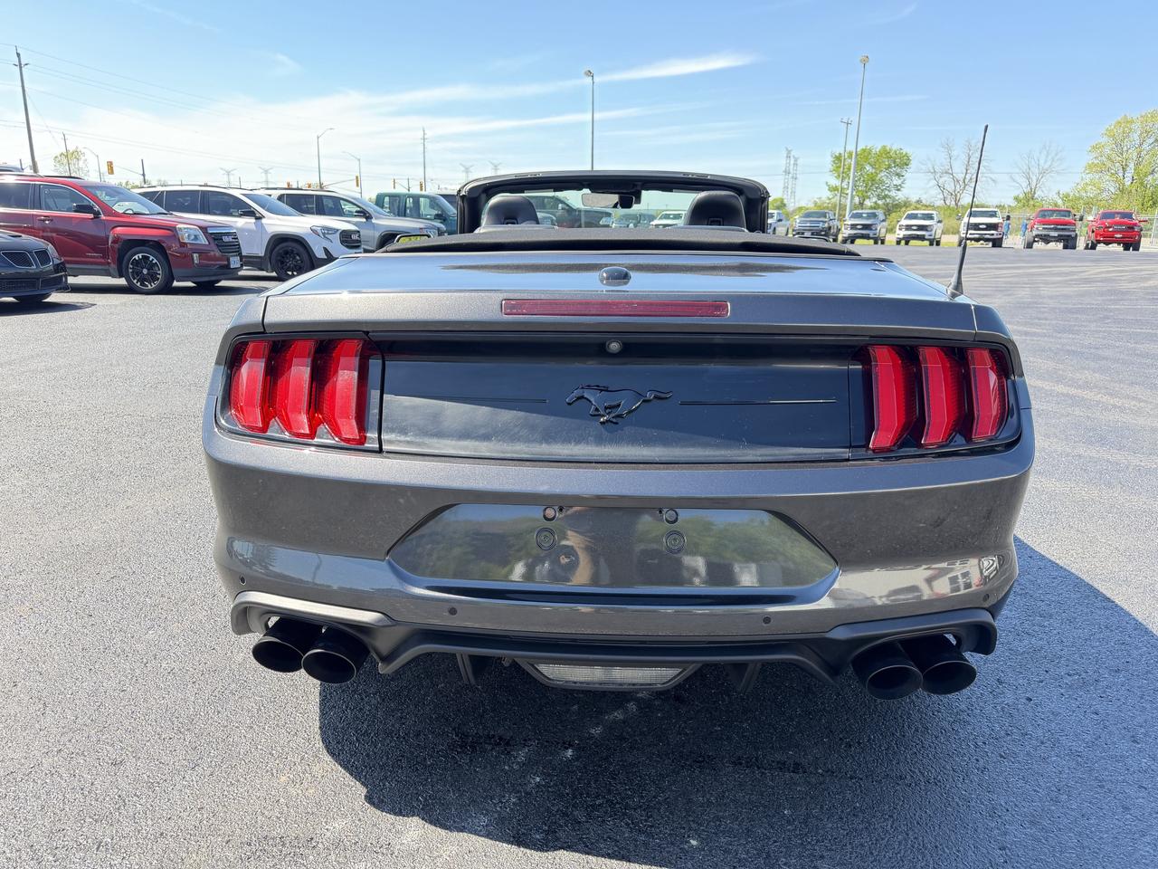 2019 Ford Mustang GT Premium Convertible Photo