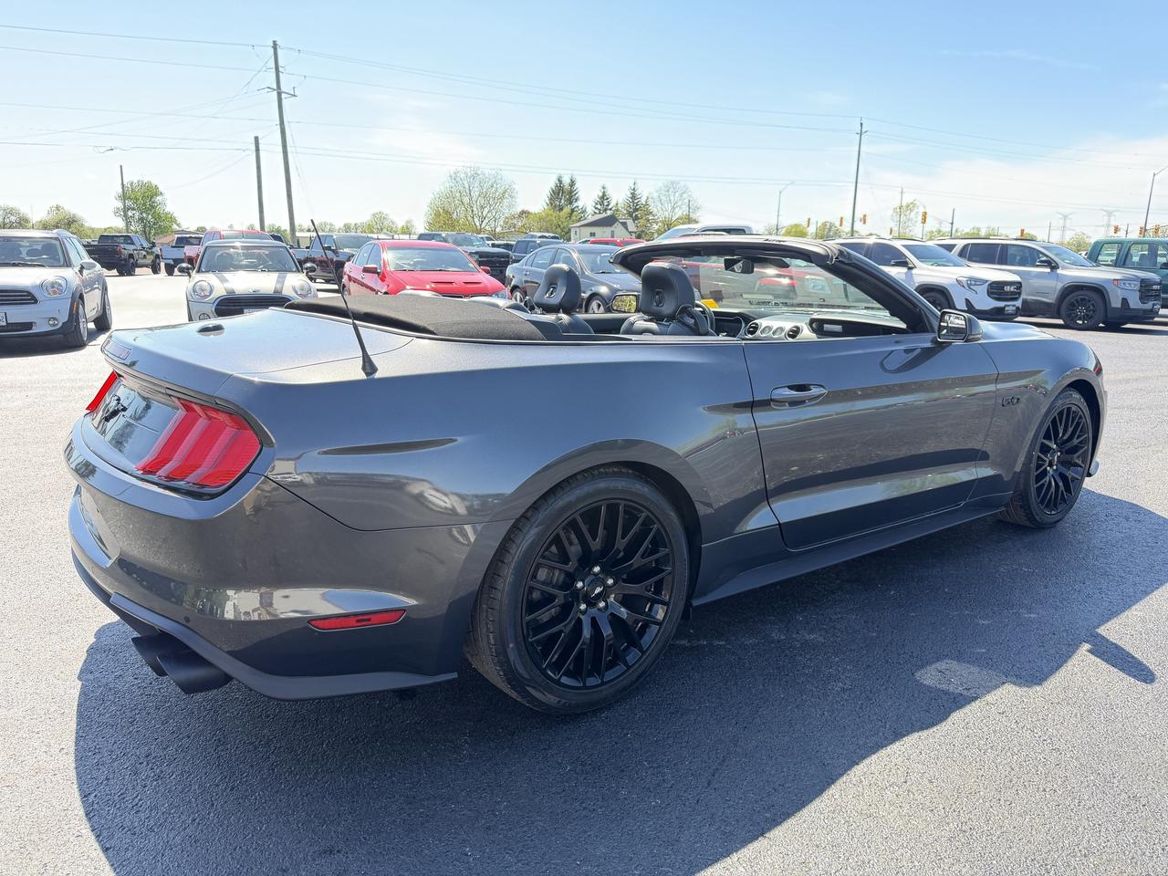2019 Ford Mustang GT Premium Convertible Photo