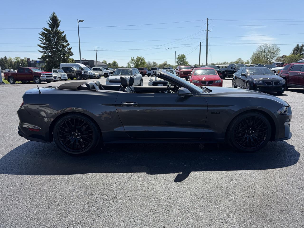 2019 Ford Mustang GT Premium Convertible Photo