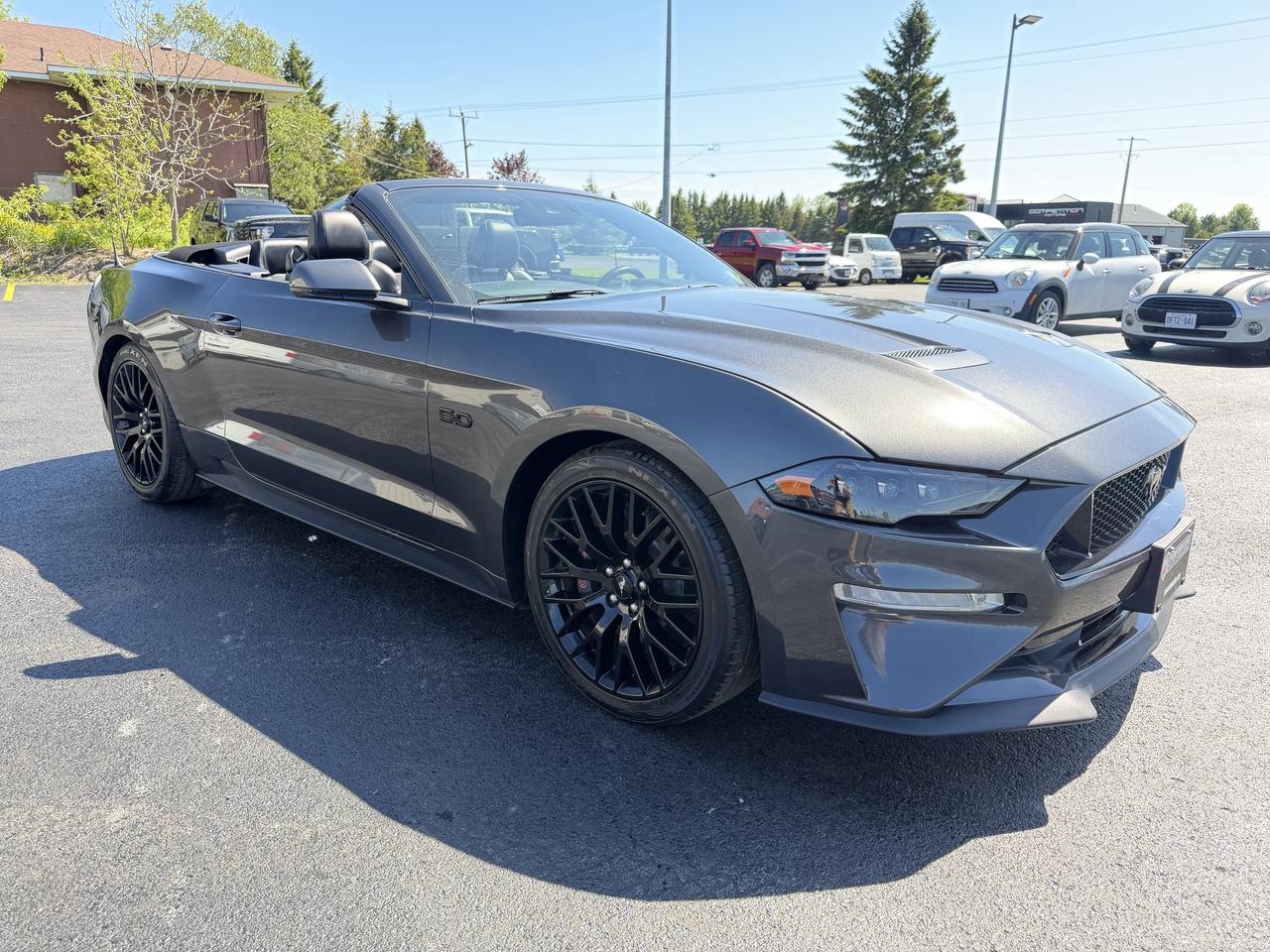 2019 Ford Mustang GT Premium Convertible Photo