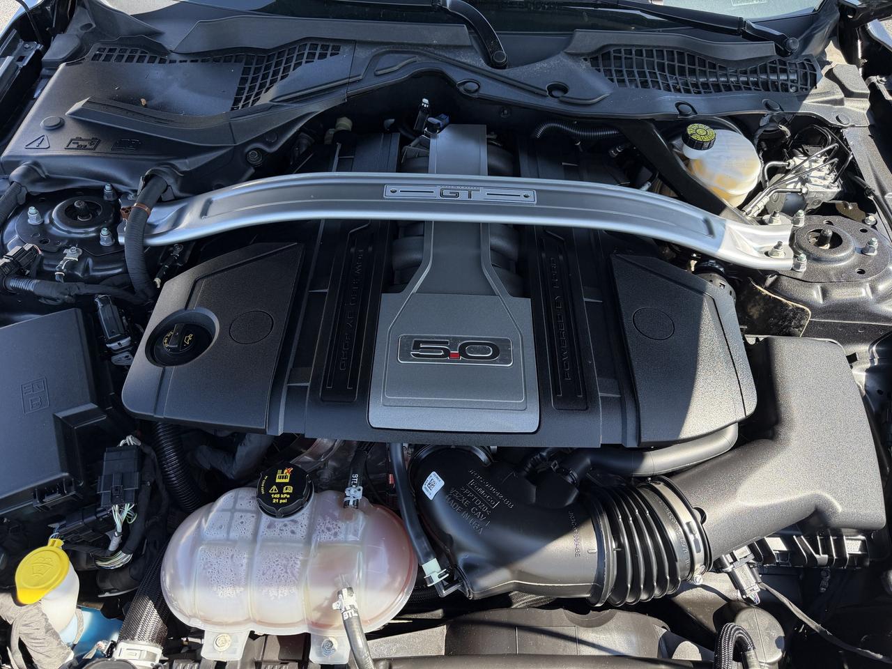 2019 Ford Mustang GT Premium Convertible Photo