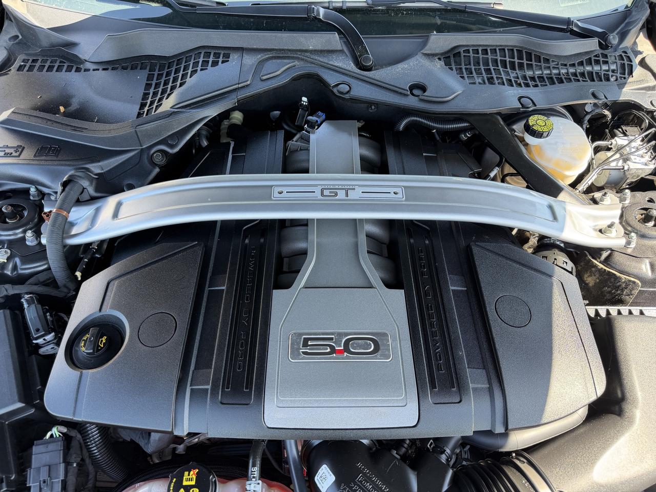 2019 Ford Mustang GT Premium Convertible Photo