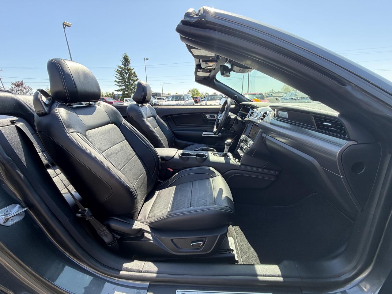 2019 Ford Mustang GT Premium Convertible Photo