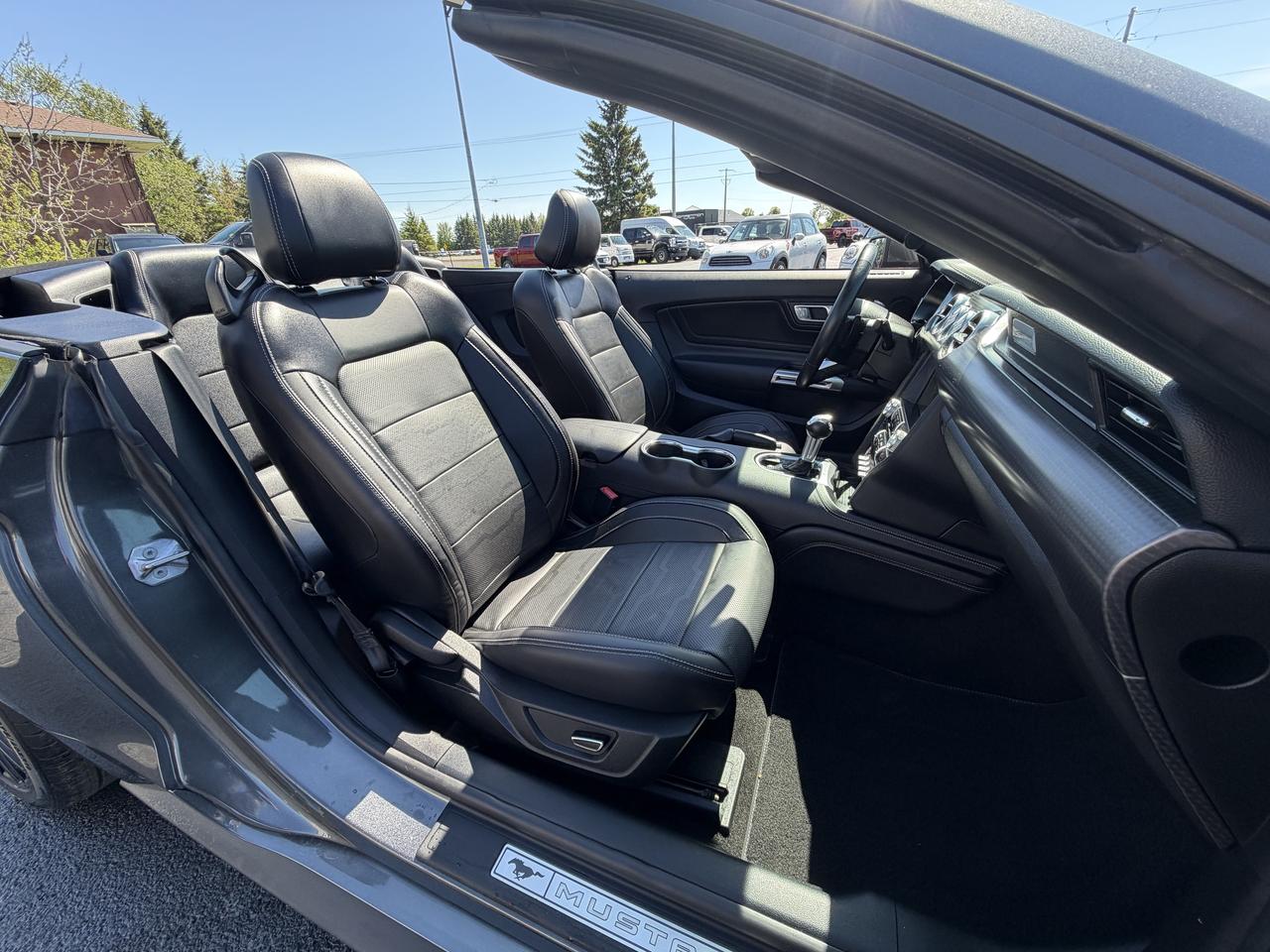 2019 Ford Mustang GT Premium Convertible Photo