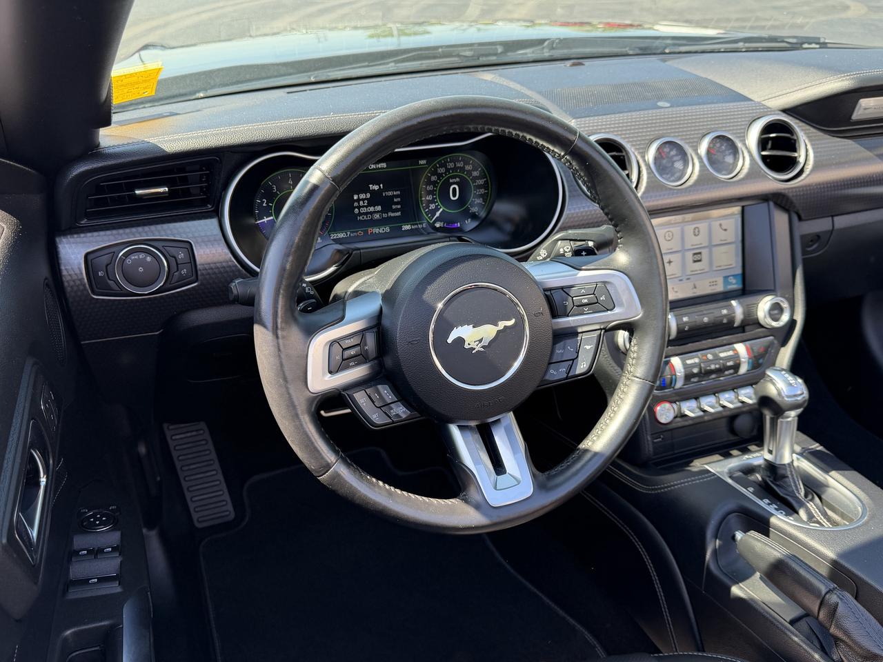 2019 Ford Mustang GT Premium Convertible Photo
