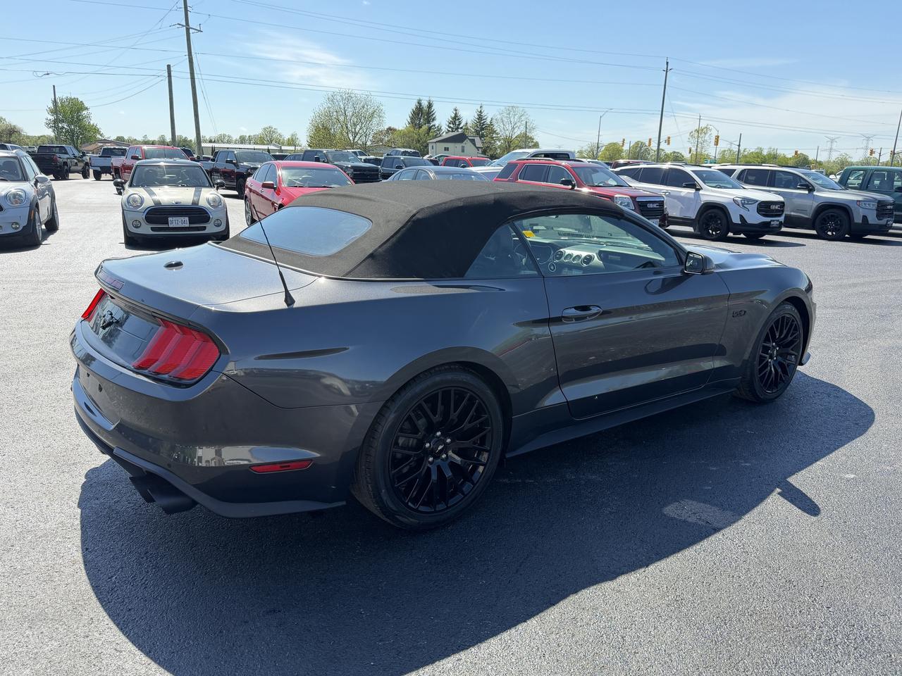 2019 Ford Mustang GT Premium Convertible Photo