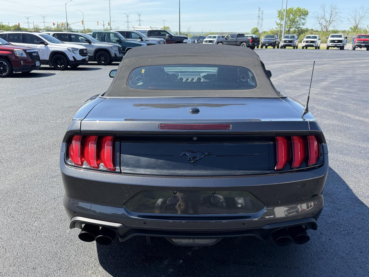 2019 Ford Mustang GT Premium Convertible Photo