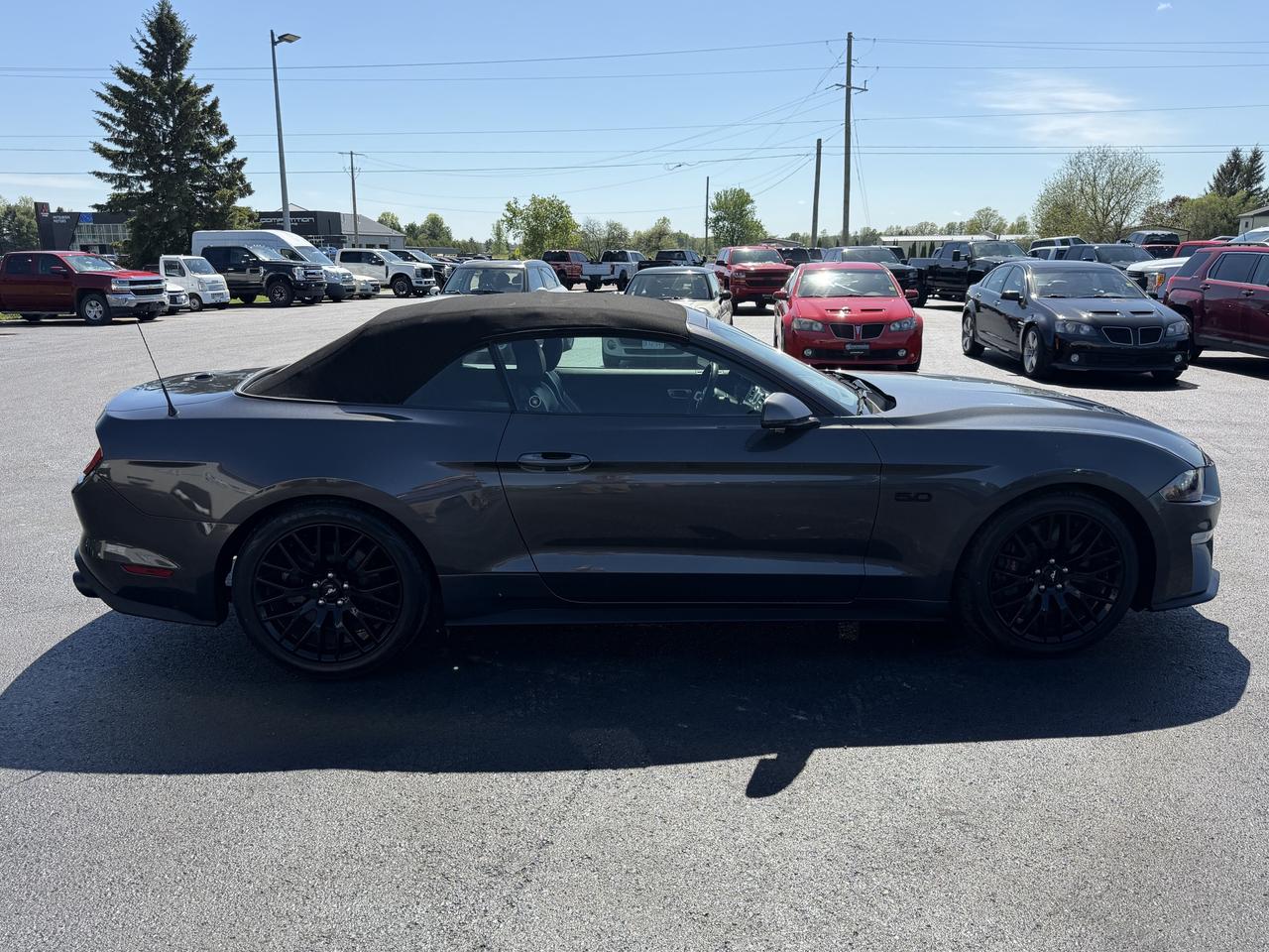 2019 Ford Mustang GT Premium Convertible Photo