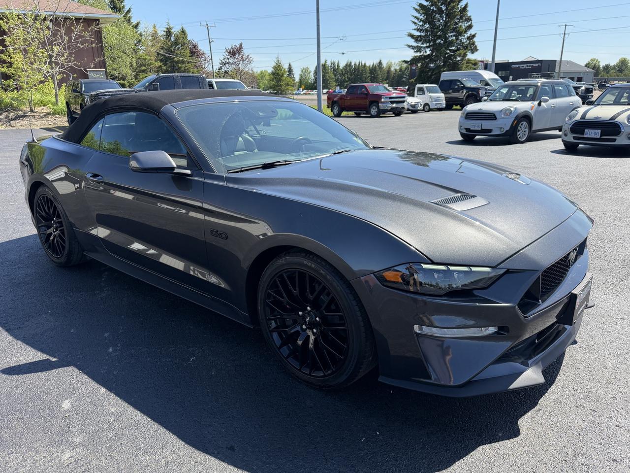 2019 Ford Mustang GT Premium Convertible Photo