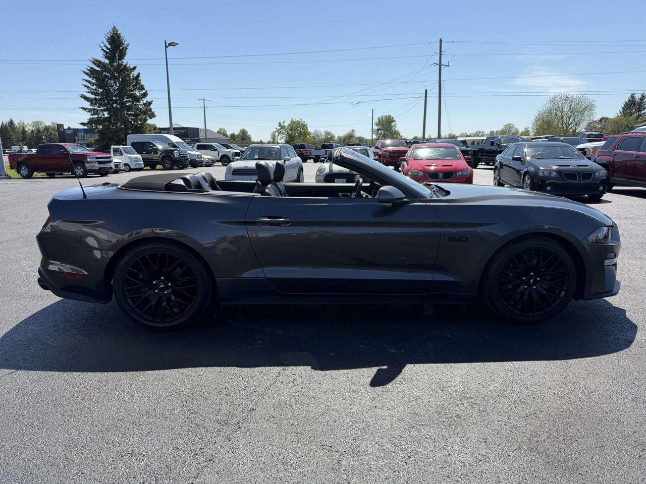2019 Ford Mustang GT Premium Convertible Photo
