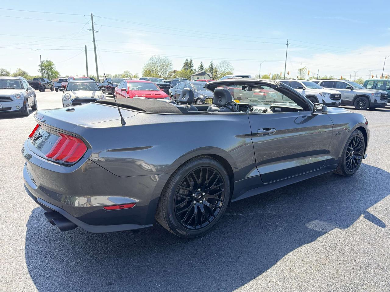 2019 Ford Mustang GT Premium Convertible Photo