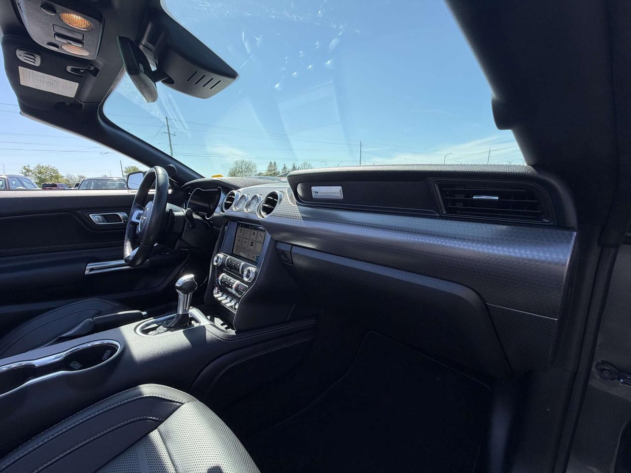 2019 Ford Mustang GT Premium Convertible Photo