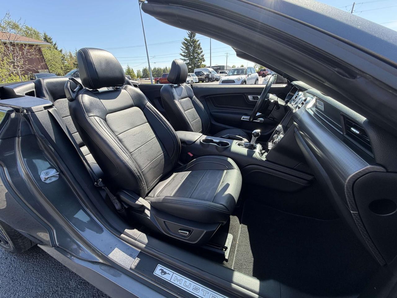 2019 Ford Mustang GT Premium Convertible Photo