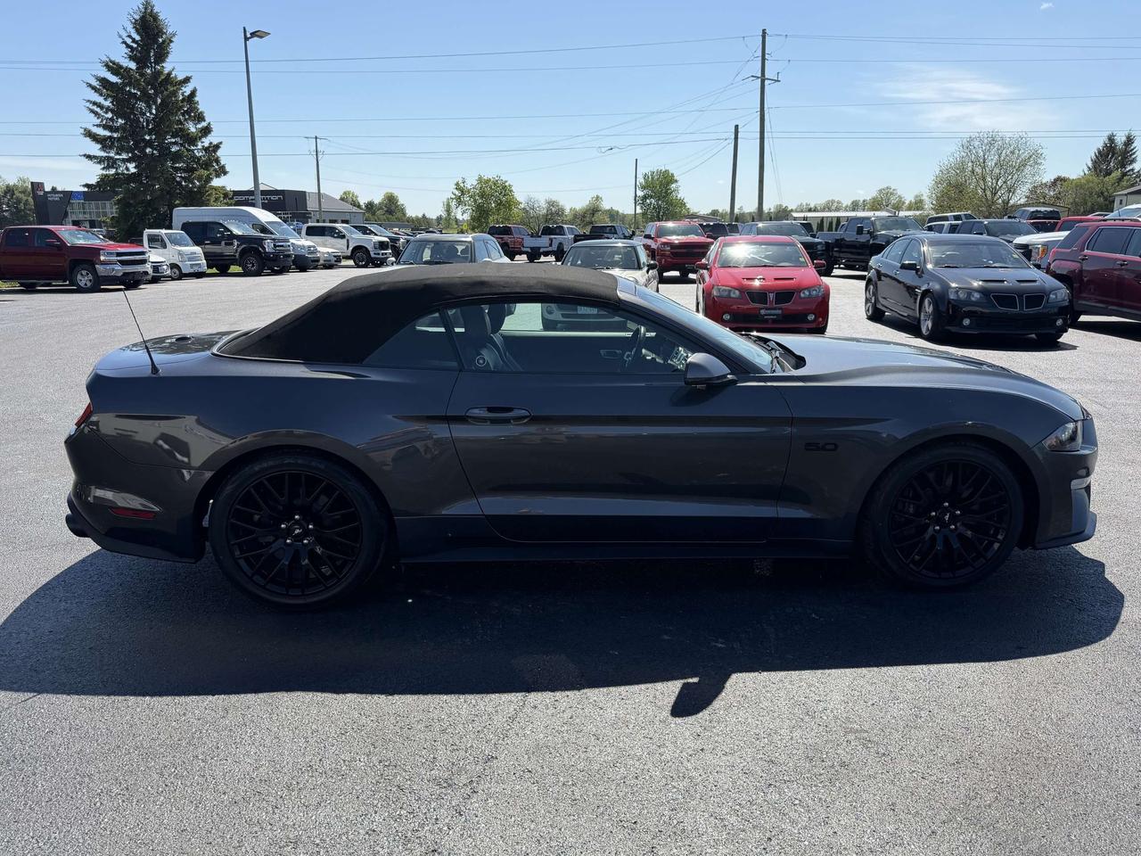 2019 Ford Mustang GT Premium Convertible Photo