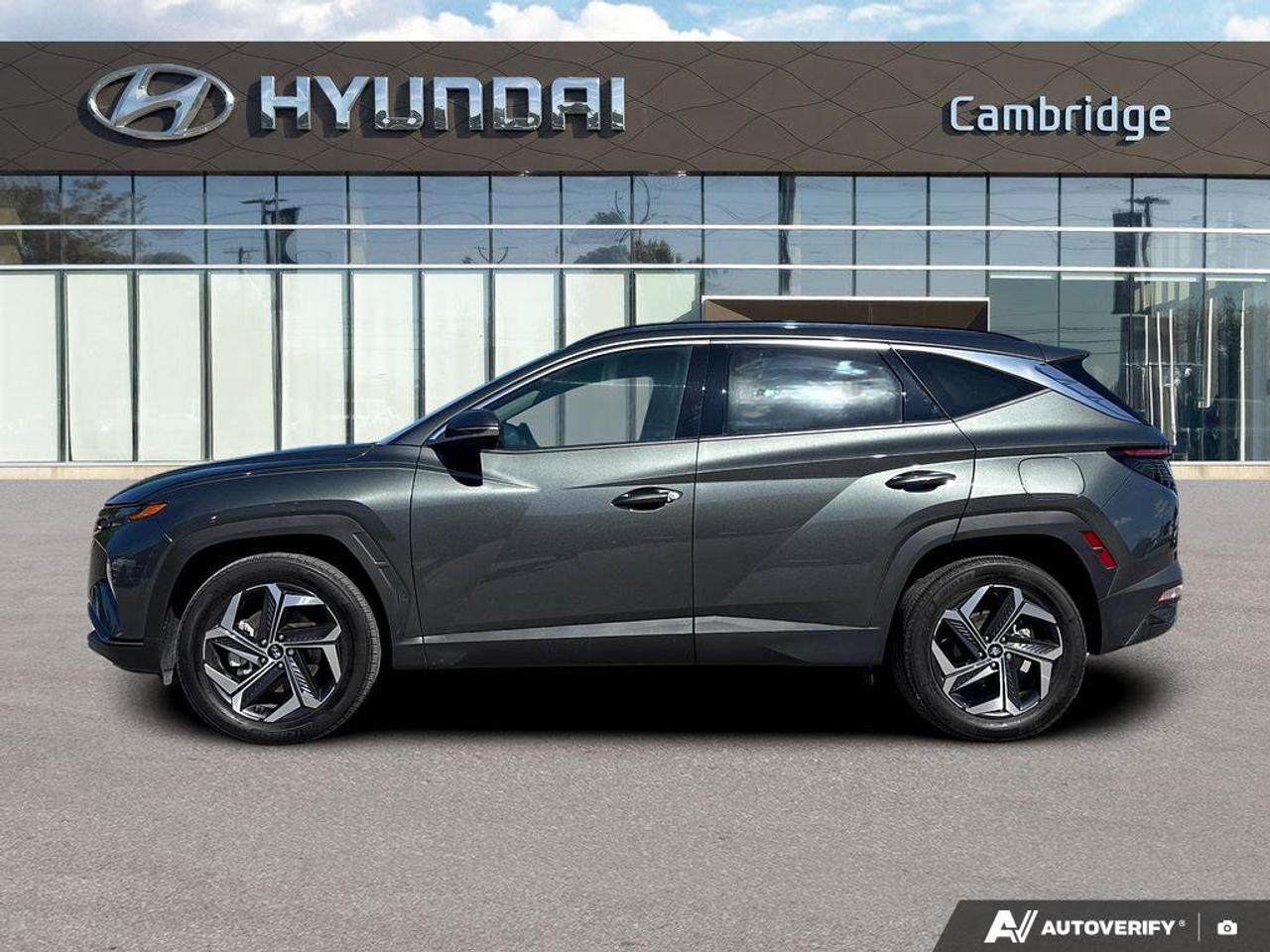 2023 Hyundai Tucson Hybrid Hybrid Luxury   NO ACCIDENTS   BOSE   6.3L/100KM Photo