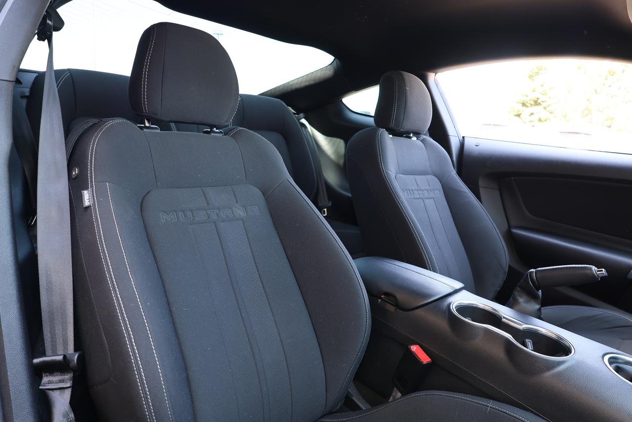 2022 Ford Mustang GT - 6SPD|CAMERA|NAVIGATION|SHORT SHIFTER Photo
