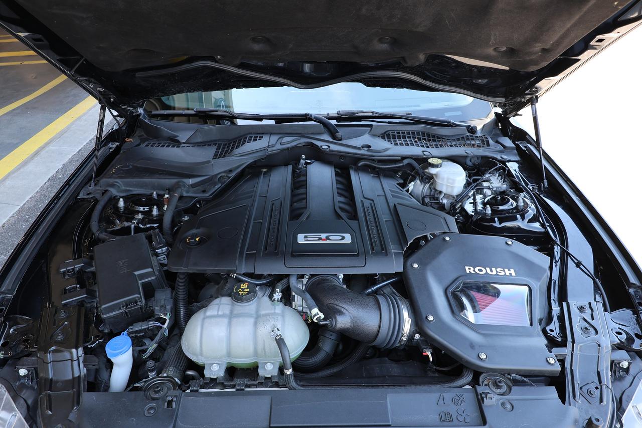 2022 Ford Mustang GT - 6SPD|CAMERA|NAVIGATION|SHORT SHIFTER Photo