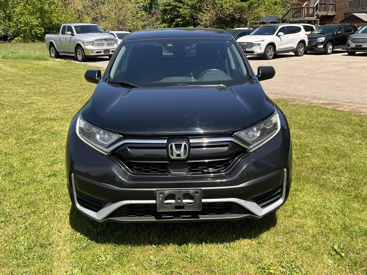 2020 Honda CR-V LX AWD Photo