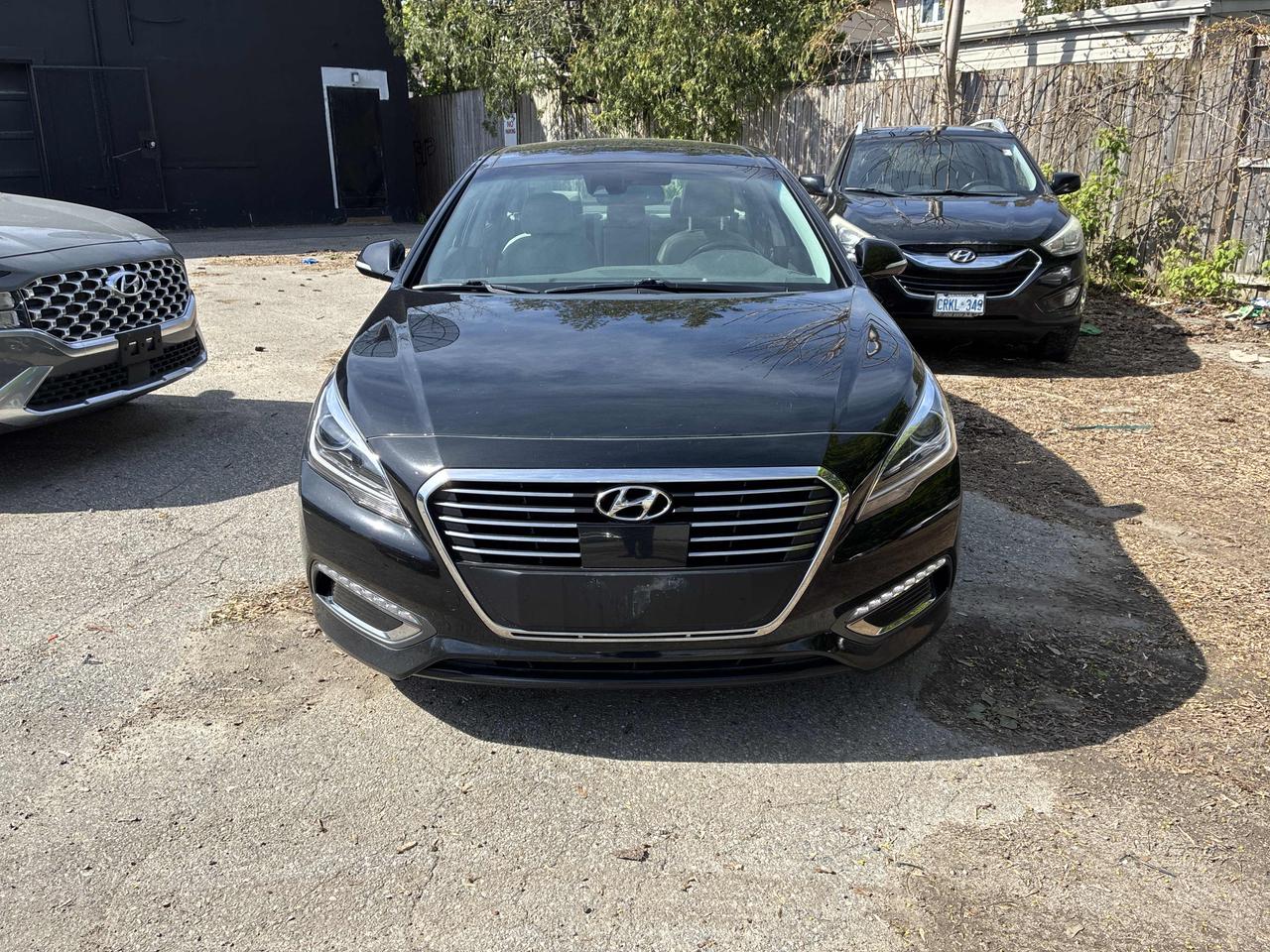 2016 Hyundai Sonata Hybrid Ultimate | Hybrid | Leather | Roof | Nav | Cam ++ Photo