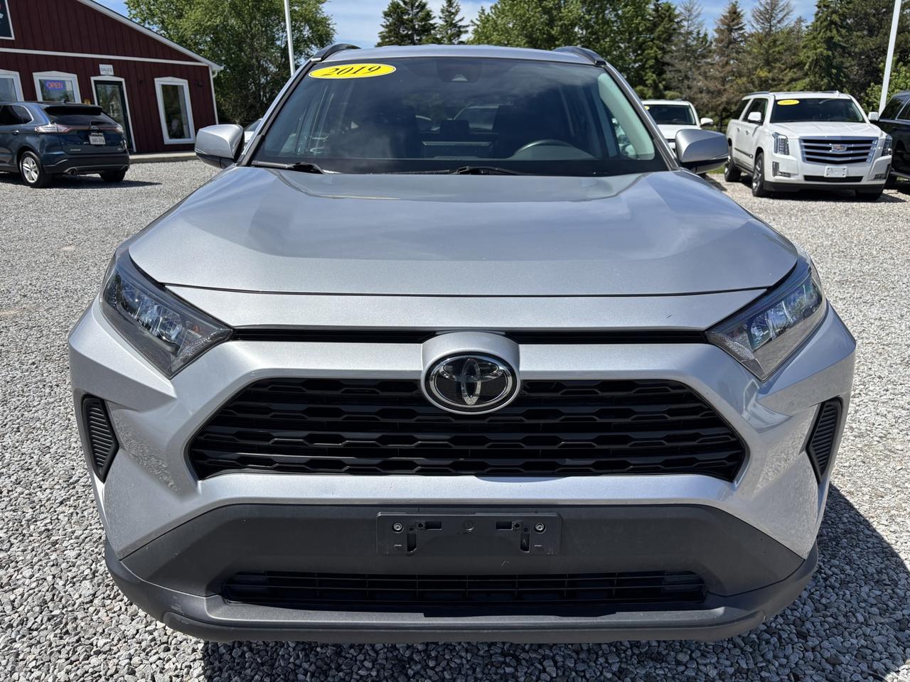 2019 Toyota RAV4 LE Photo