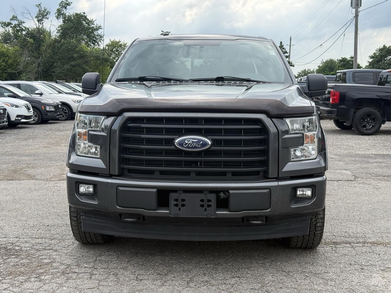 2017 Ford F-150 5.0L Photo