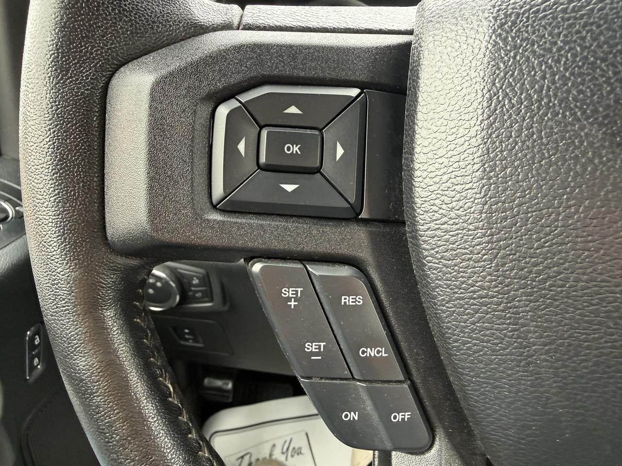 2017 Ford F-150 5.0L Photo