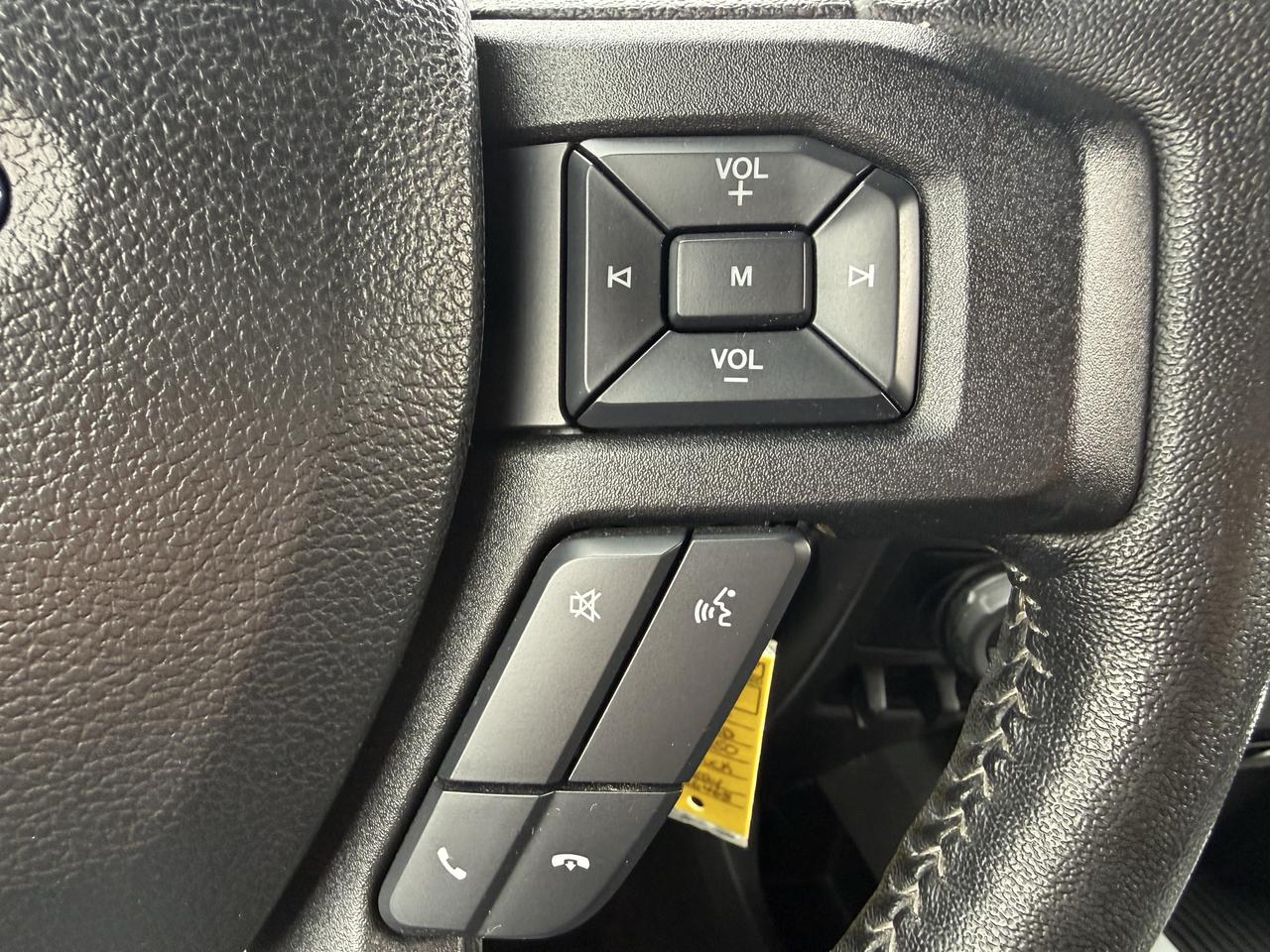 2017 Ford F-150 5.0L Photo