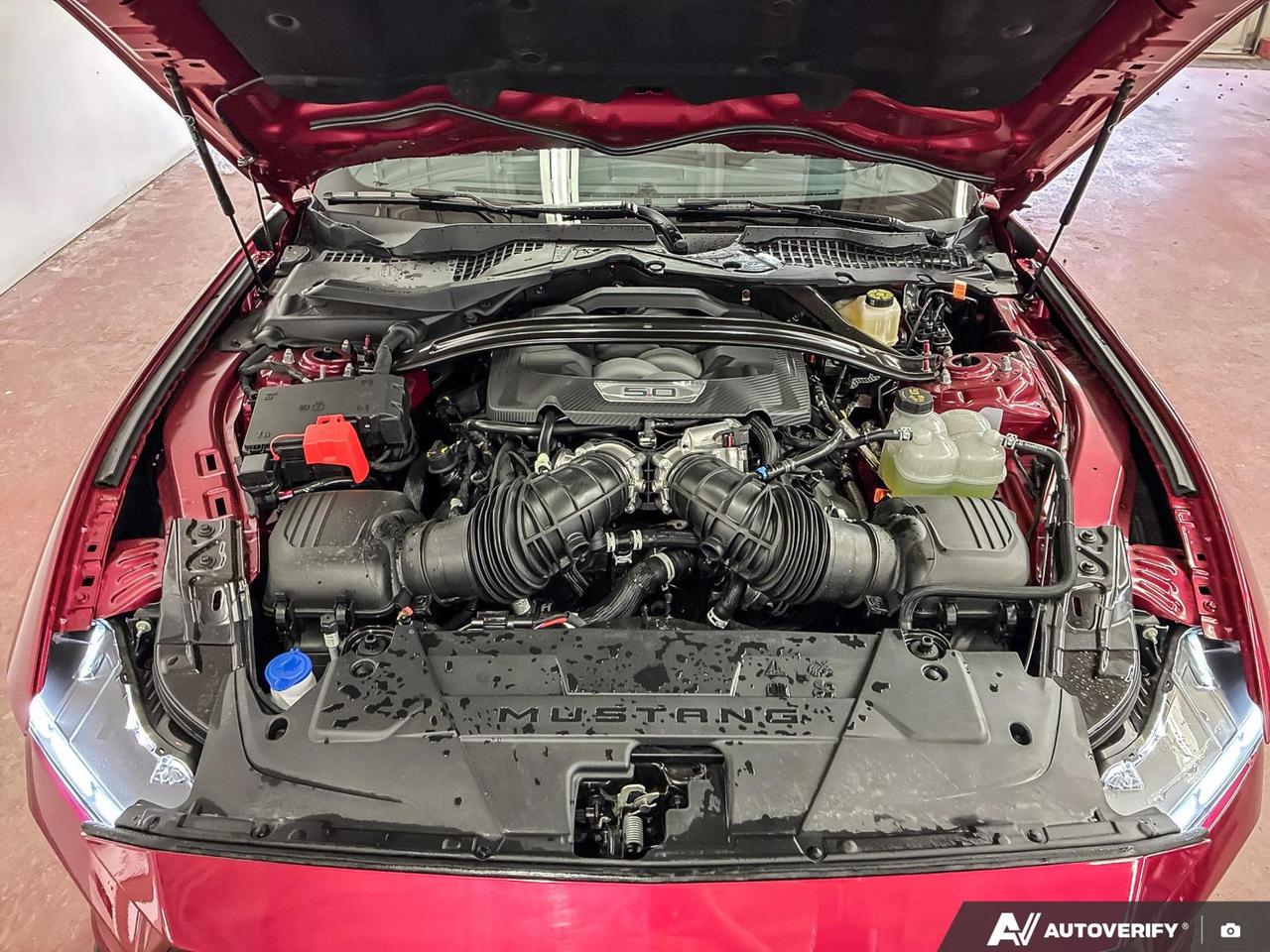 14163706