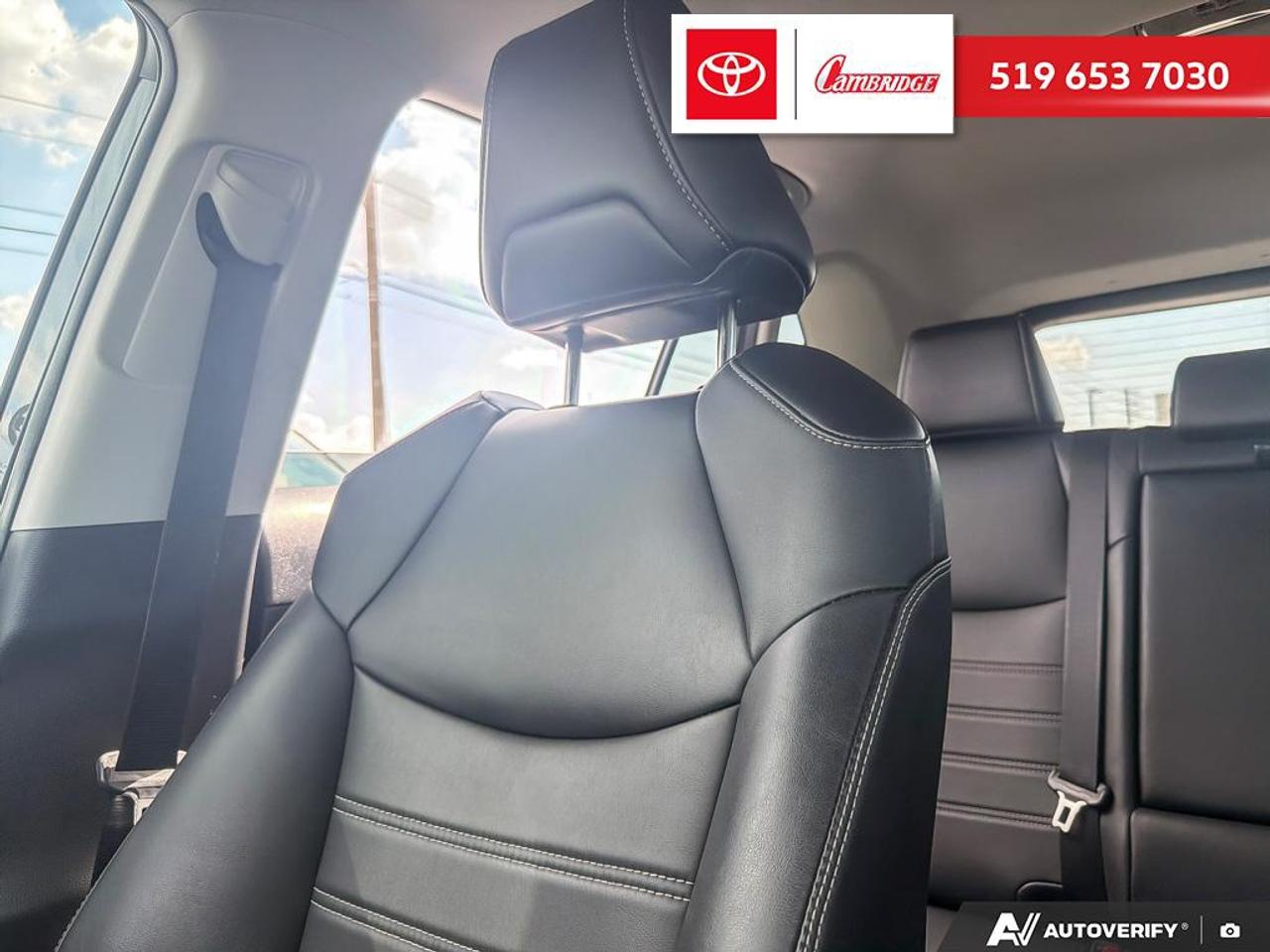 2020 Toyota RAV4 XLE Photo