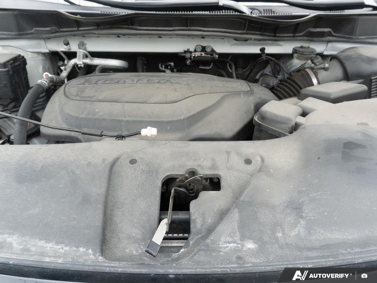 2023 Honda Odyssey  Photo