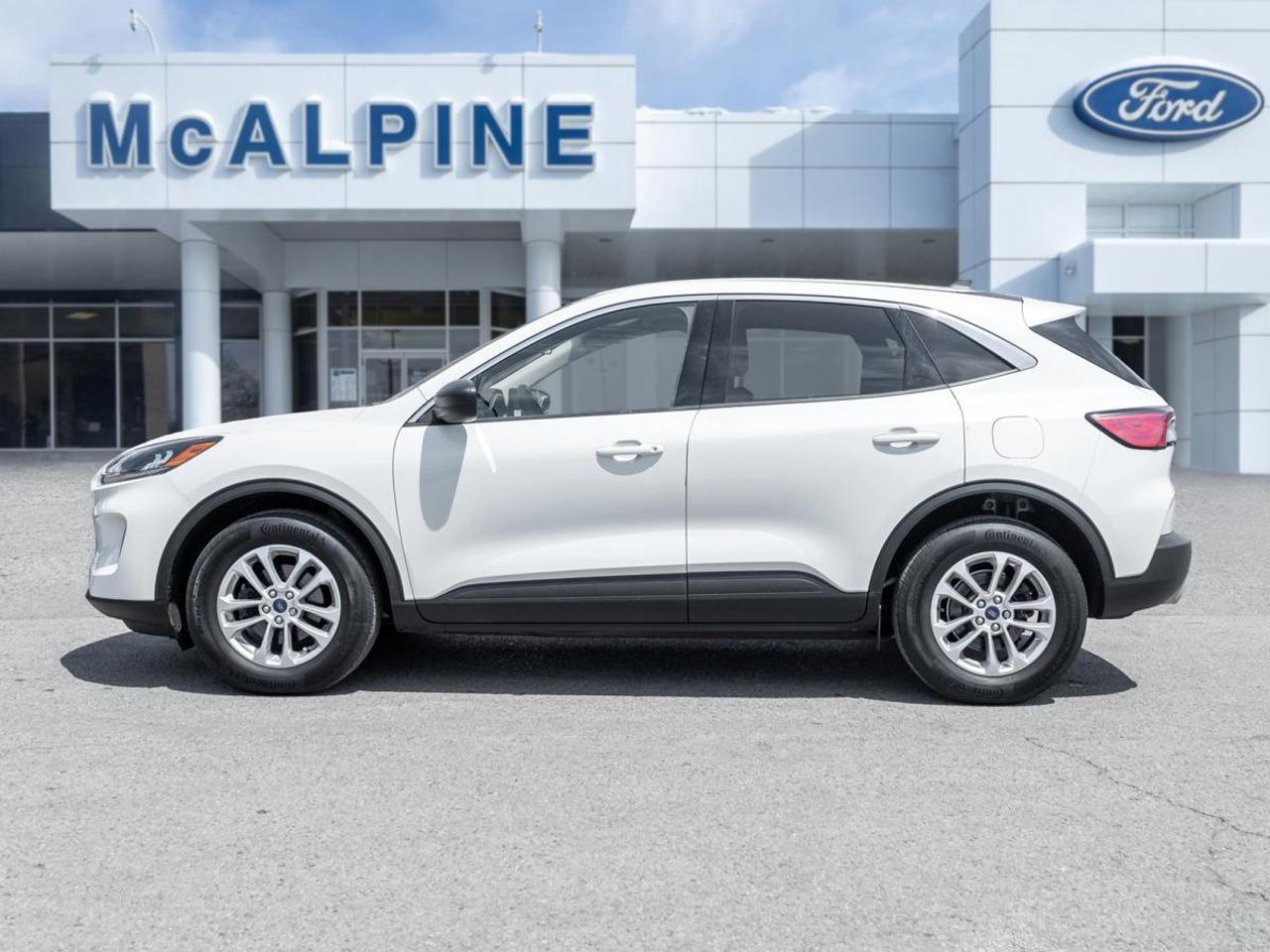 2022 Ford Escape SE Photo