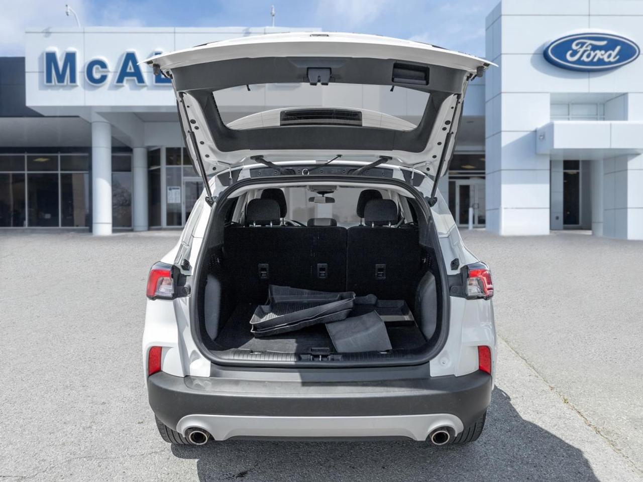 2022 Ford Escape SE Photo