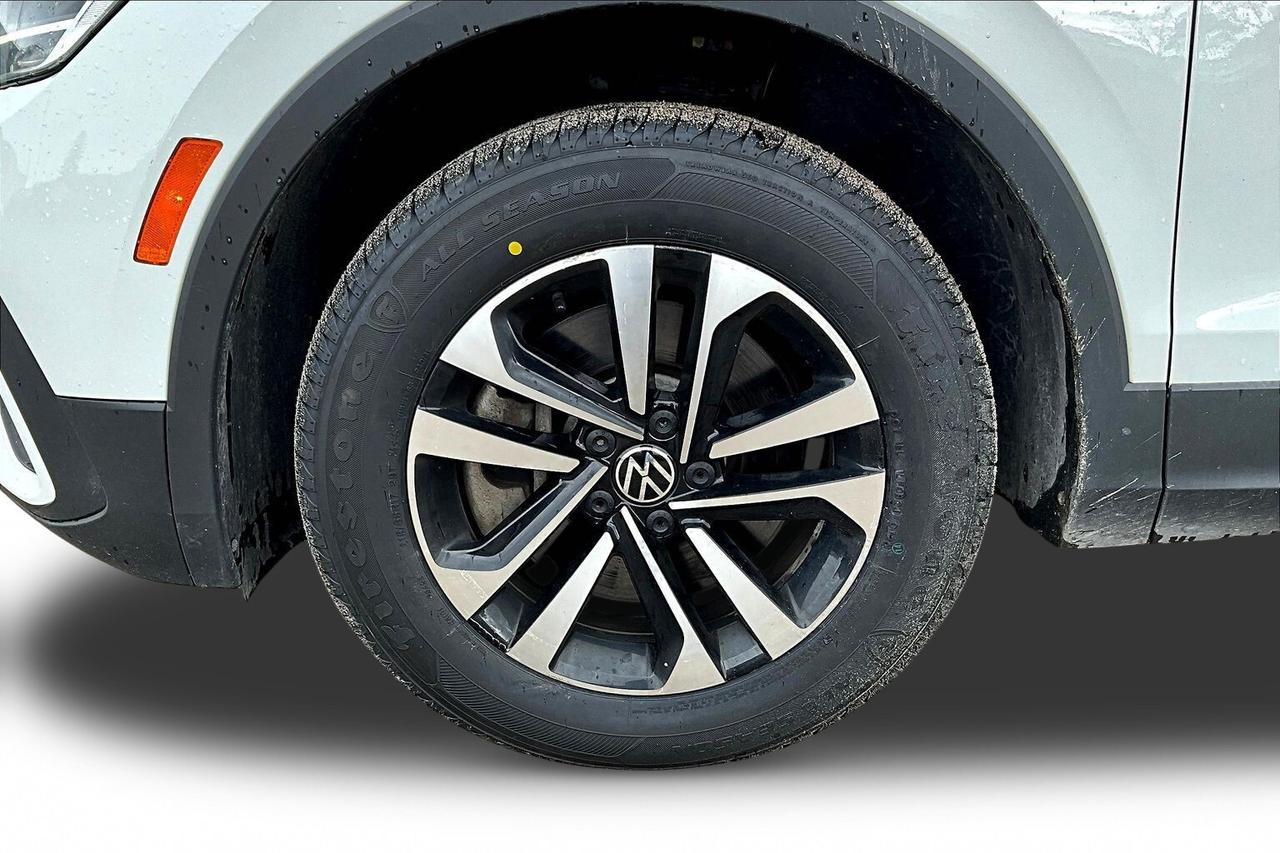2024 Volkswagen Tiguan  Photo