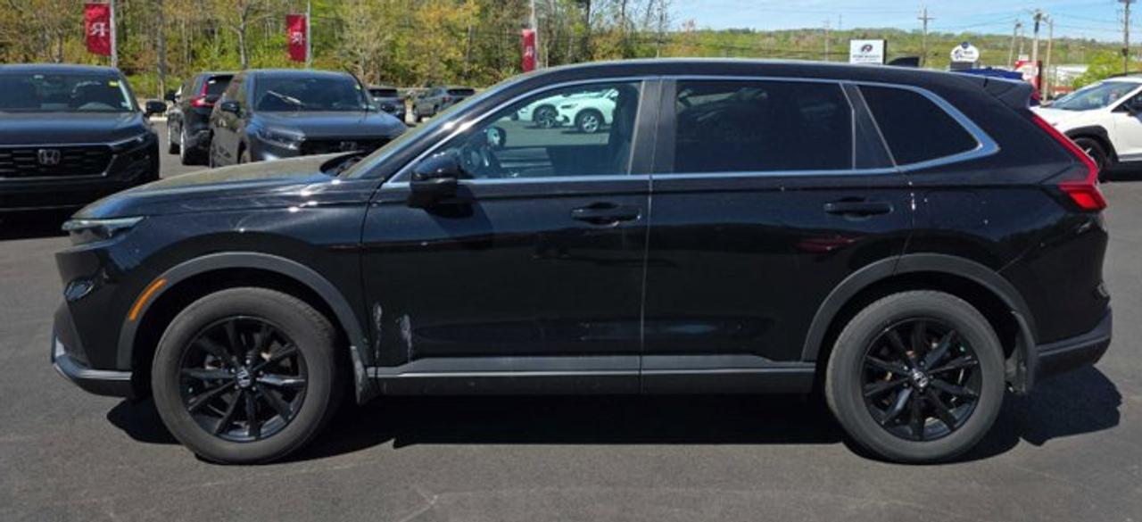 2025 Honda CR-V Hybrid EX-L AWD | Leather | Sunroof | Heated Wheel + Seats | Power Seat | CarPlay + Android | and More ! Photo
