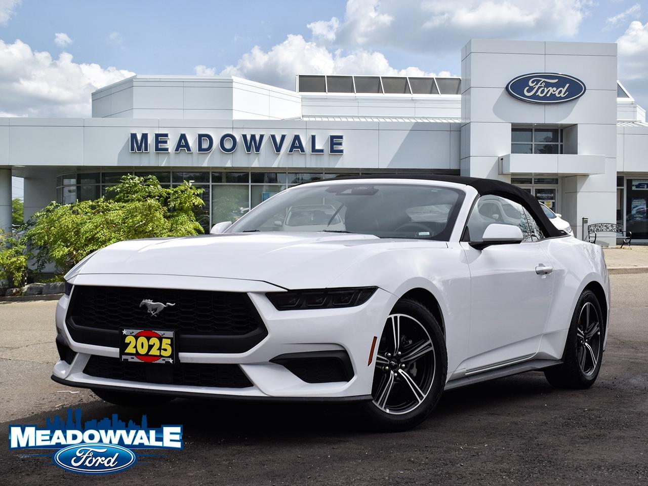 2025 Ford Mustang EcoBoost Premium Photo