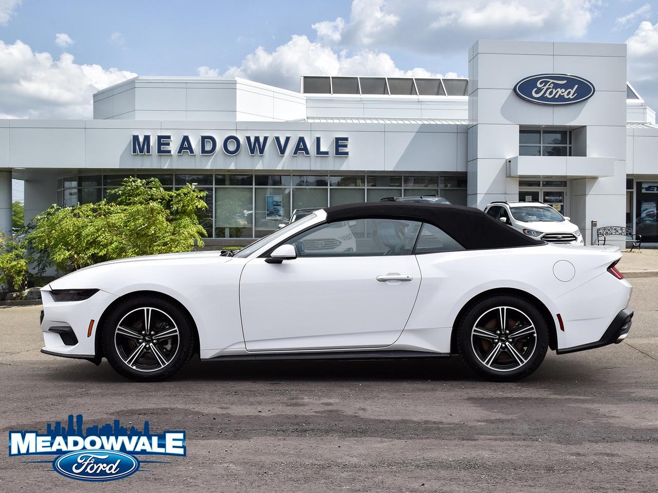 2025 Ford Mustang EcoBoost Premium Photo