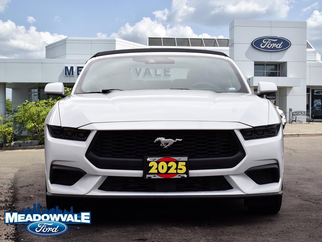 2025 Ford Mustang EcoBoost Premium Photo