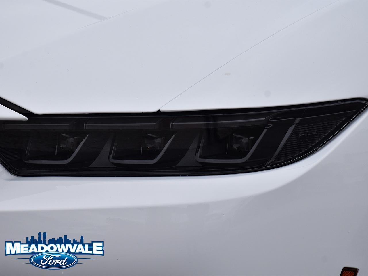 2025 Ford Mustang EcoBoost Premium Photo3