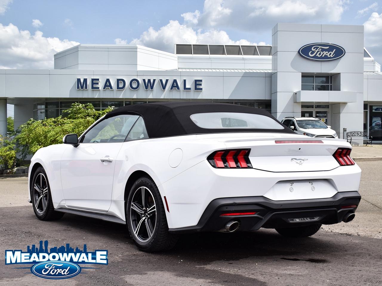 2025 Ford Mustang EcoBoost Premium Photo