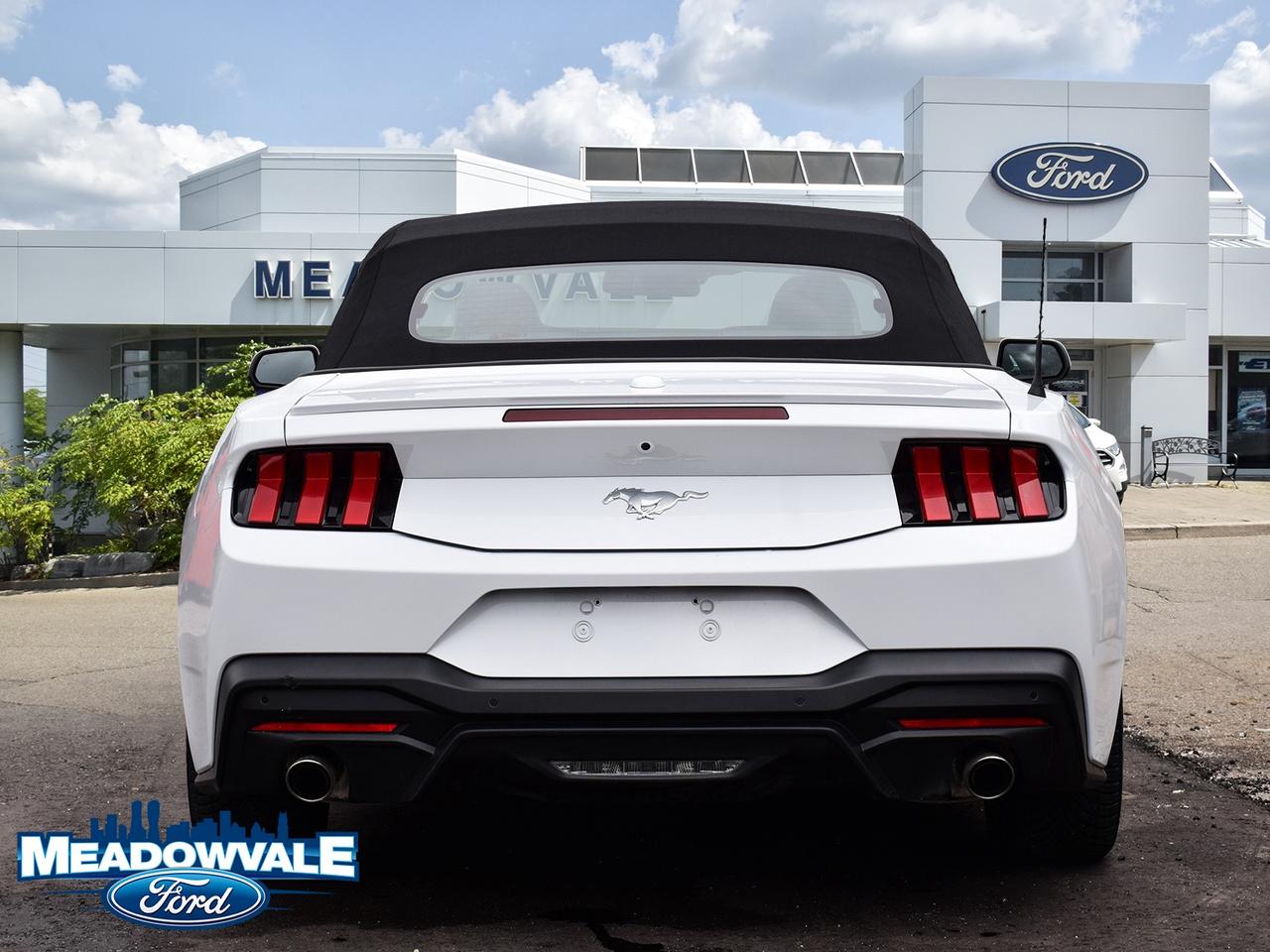 2025 Ford Mustang EcoBoost Premium Photo