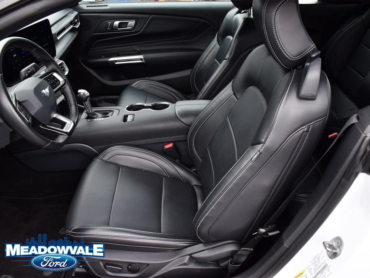 2025 Ford Mustang EcoBoost Premium Photo