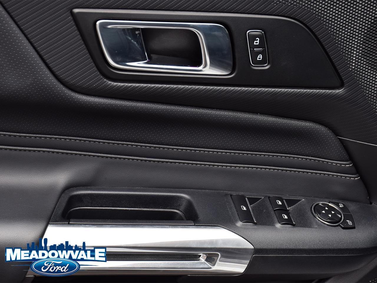 2025 Ford Mustang EcoBoost Premium Photo