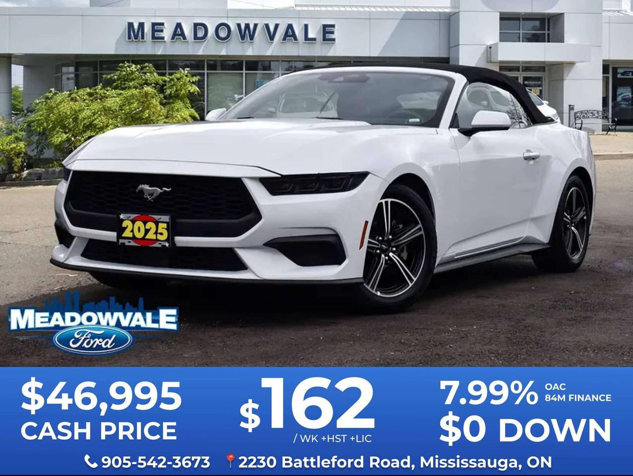 2025 Ford Mustang EcoBoost Premium Photo