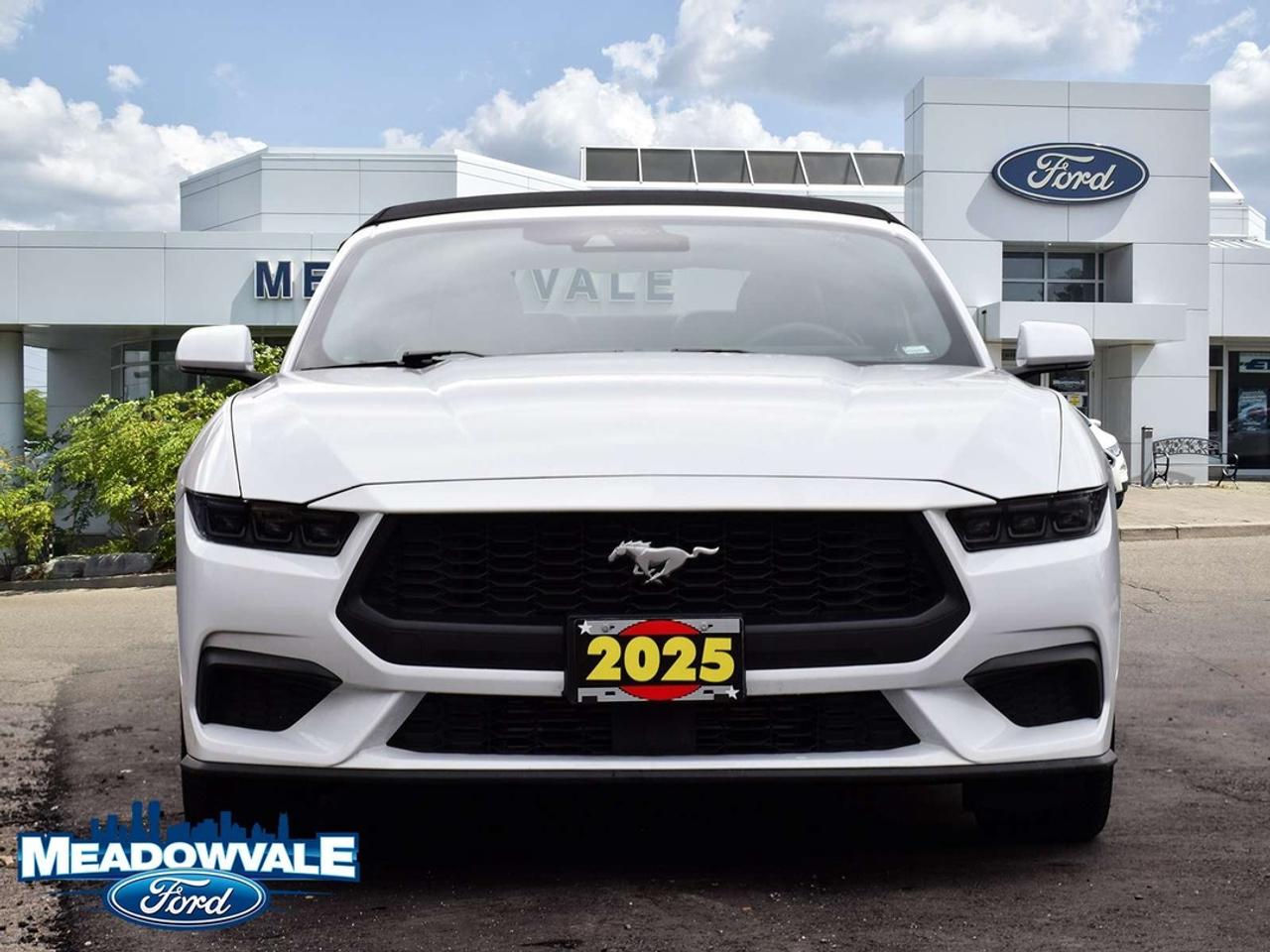2025 Ford Mustang EcoBoost Premium Photo